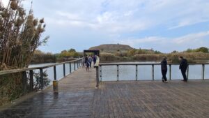 Hod-Hasharon Ecological Park - The lake, the bridge, and the hill above them.