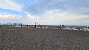 A Chanakya on the top of the hill (it is Chanukah after all). . - Hod-Hasharon Ecological Park