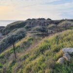 Archeological excavations on top of Tel Dor