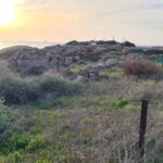 Archeological excavations on top of Tel Dor