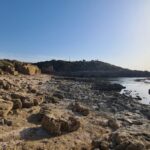 The shore