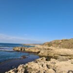 The shore