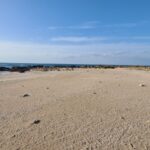 Along the sea line