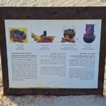 The purple dye industry