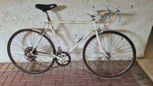 My pair of Raleigh Stolen bicycles 