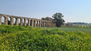 Behind the tree the aqueduct has two levels of arches