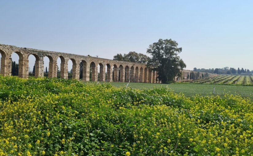 Behind the tree the aqueduct has two levels of arches