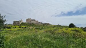 Looking on the castle from below - Migdal Tsedek