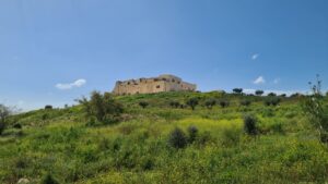 The castle from North-East