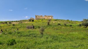 And from the East - Migdal Tsedek