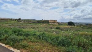 Additional kilns and the Concrete Giant remains - Migdal Tsedek