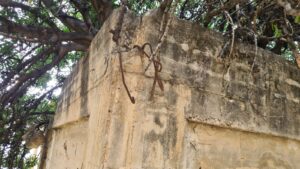 Rebar inside the concrete - Migdal Tsedek