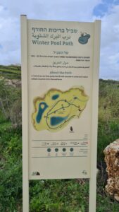 Winter pool path - Migdal Tsedek