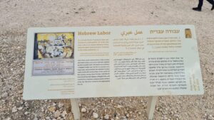 Hebrew Labor - Migdal Tsedek