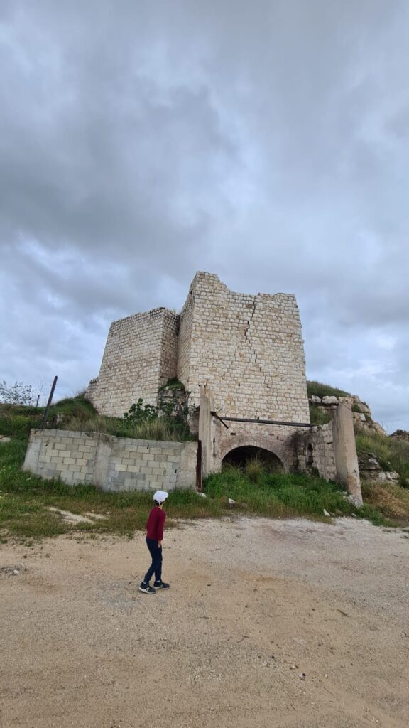 Some more kiln pictures around the site