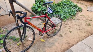 My small flag on the bicycle