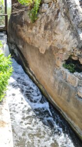 The stream flows through the dam. Because the water is salty, the stream water has not been catched and used as drinking water or for agriculture, leaving Nahal Taninim as ine of the last flowing streams along Israel coasts.