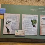 The exhibition inside the House of arches - Mitzpe Gvulot