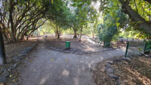 The picnic and the memorial site