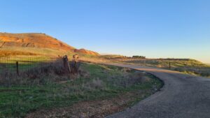 The memorial site (where the trees are) and above it, Mount Hermonit