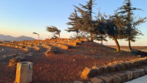 The auditorium and trees growing bent of the wind