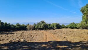 Ramim ridge during the war - where we were supposed to be positioned. - Changing line