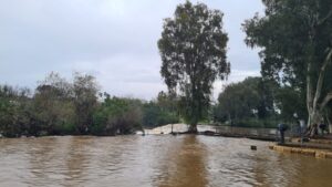 The Yarkon river waterfalls on 7 mills during those rainy days - it's raining