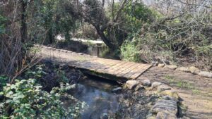 The south Paladi distributary of the Dan River inside Snir Stream Nature Reserve