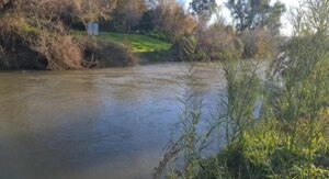 The Jordan River near Kibbutz Amir, 200m after the Banias (Hermon) stream flows into the Snir (Hasbani) and creates the Jordan river