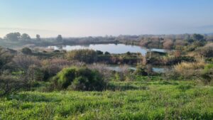 The Tapline reservoir from above. In the canal between us and the reservoir flows, the Nokhila stream that comes from the area of En el-Bared springs( north of Tel Dan).