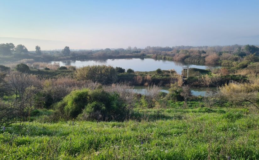 The Tapline reservoir from above. In the canal between us and the reservoir flows, the Nokhila stream that comes from the area of En el-Bared springs( north of Tel Dan).