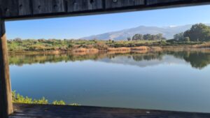 The view of the reservoir from the bird hide