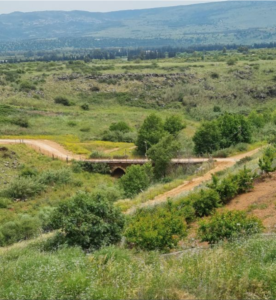 A view of the area today from the view point in Snir Nature Reserve (Source: AmudAnan.co.il) 