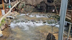 The water of one of the Dan river diversities in Dag Al-HaDan, I can just sit and look on those cascades for hours (except for the times I have to stop and pee)