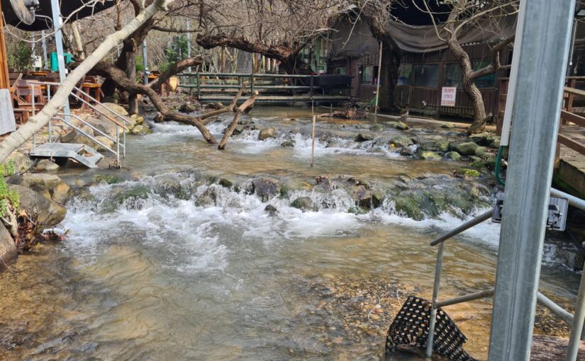 The water of one of the Dan river diversities in Dag Al-HaDan, I can just sit and look on those cascades for hours (except for the times I have to stop and pee)