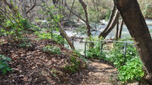 The staircase down to the wet trail