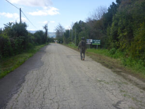 The road from the entrance gate to the cash - Tel Dan