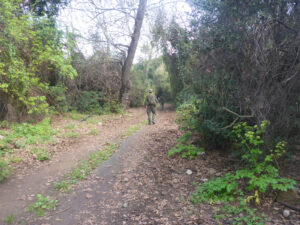 The Nature reserve and parks authority kept an emergency gate for the IDF to enter through - Tel Dan