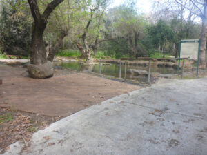 Wading pools, the only place in the nature reserve you can enter the water - Tel Dan