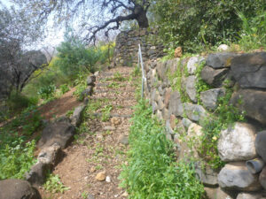 Climbing to the lookout - Tel Dan