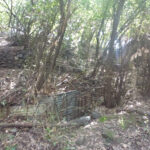 Fighting tunnels along hiking route. Those are from the time before the Six Day War, when the border between Israel and Syria was below the Tel.