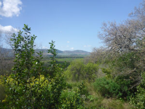 The villages of Kafr Kila and Odaisseh in Lebanon (where anti-tank missiles we fired at Qiryat Shmona) - Tel Dan