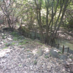 Fighting tunnels along hiking route. Those are from the time before the Six Day War, when the border between Israel and Syria was below the Tel.