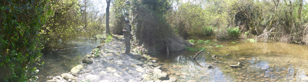 Paradise spring - the only place in Israel where wetland forest grows