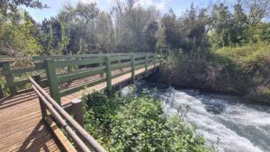 The wooden bridge