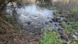 The water flows out of the spring