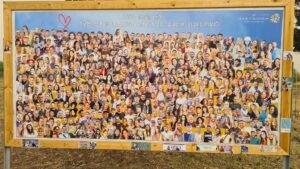 In the middle of the grove stands a sign with the pictures of the victims