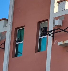One is watching with a wider view (usually the commander) and one is looking on a very narrow view through the optic sight on the weapon and shot (usually the soldier)
