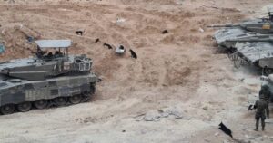 A pack of dogs playing or dinning on the food leftovers inside the tanks parking area - animals 