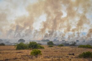 Golan Heights on fire, again - another step